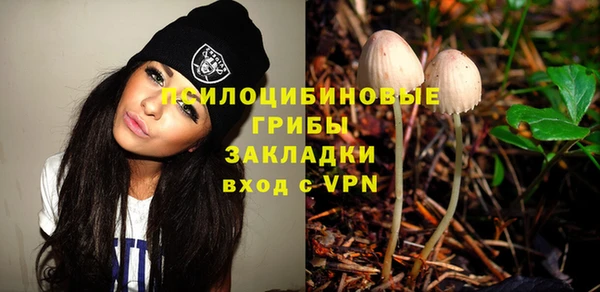 PSILOCYBIN Володарск